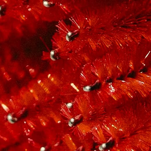 Luxe Signature VIP at Luxe Lash Co in Colleyville, TX